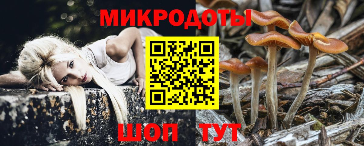 Псилоцибиновые грибы мицелий Менделеевск
