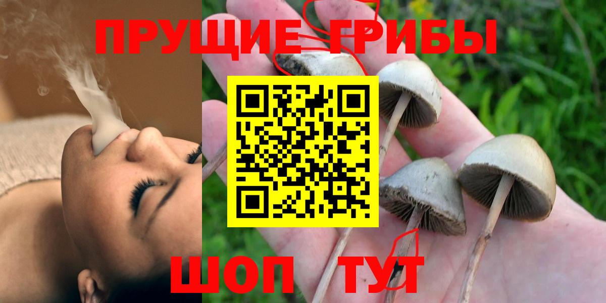 Менделеевск  Псилоцибиновые грибы мухоморы  Вход с VPN 